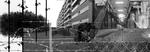 Reale