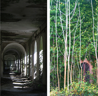 Images taken from an ex psychiatric hospital: open spaces and gardens infested with vegetation, light and shadows in the covered routes, the church and the pavilions showing the signs of time and neglect - ZOOM 