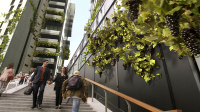 Smart-city and star-architecture. Advertising of a famous Italian wine transforming our cities into vertical  vineyards'