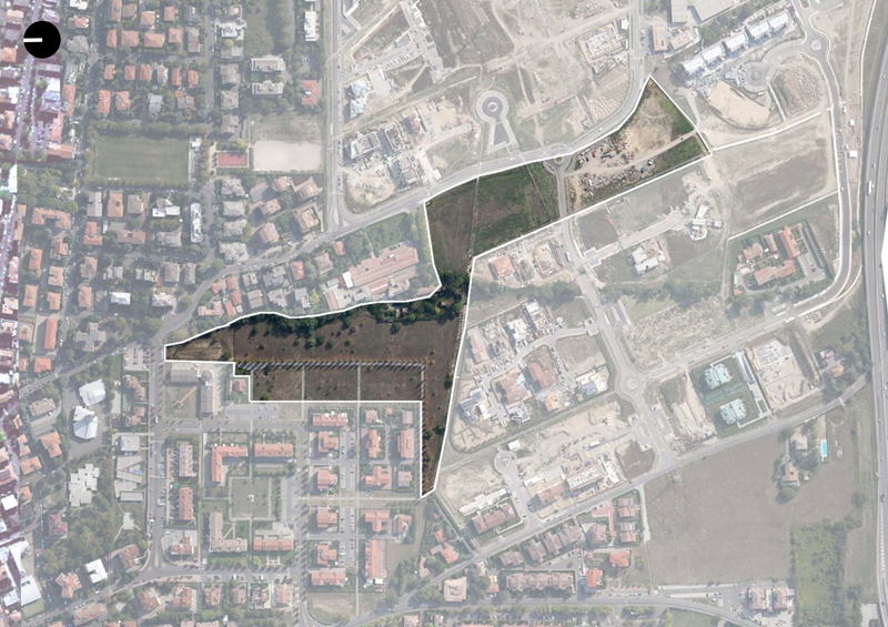 Project Area - ZOOM 