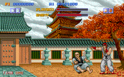 Street Fighter (1989)