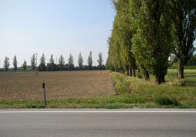 Via Emilia: strada e piantate